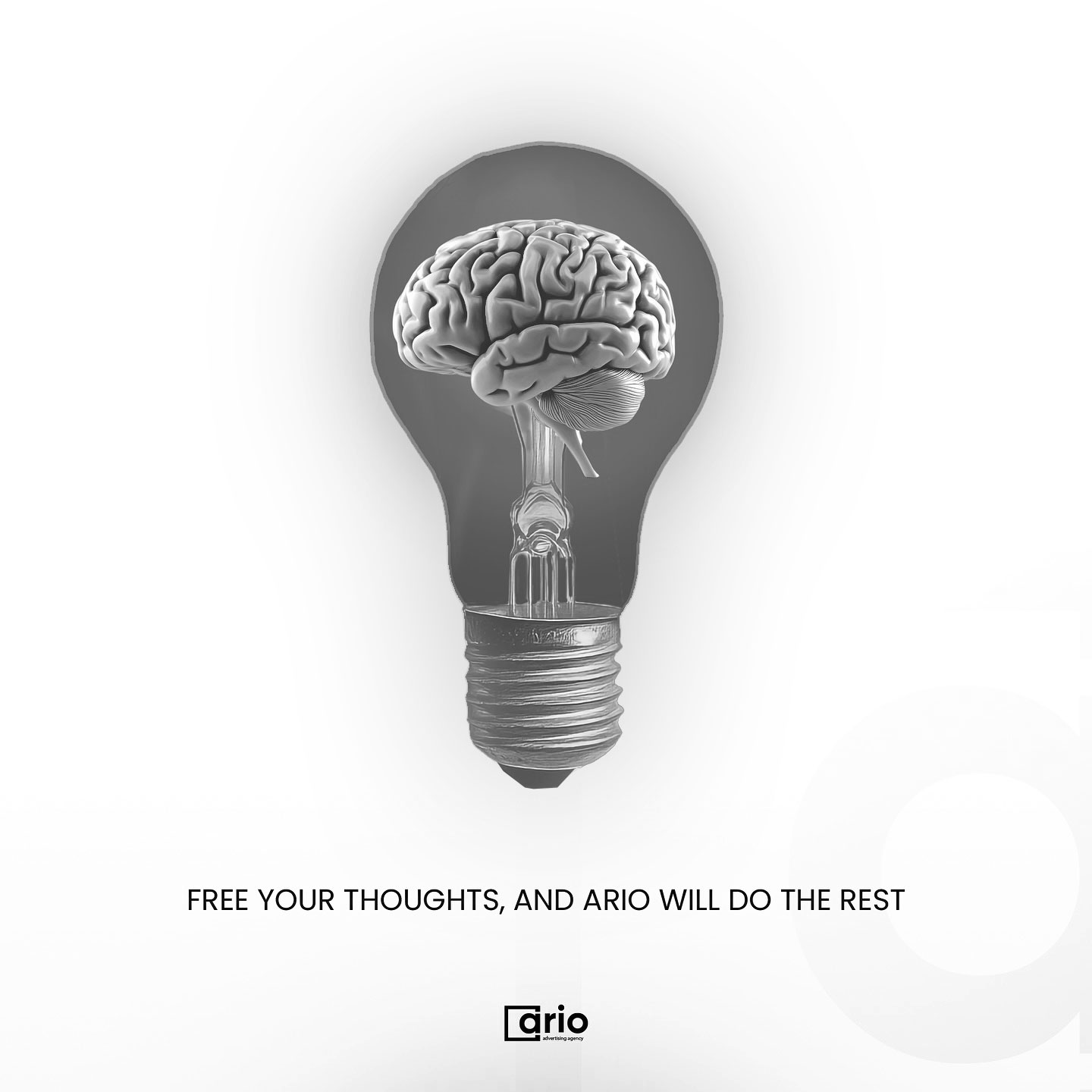 Brain ario